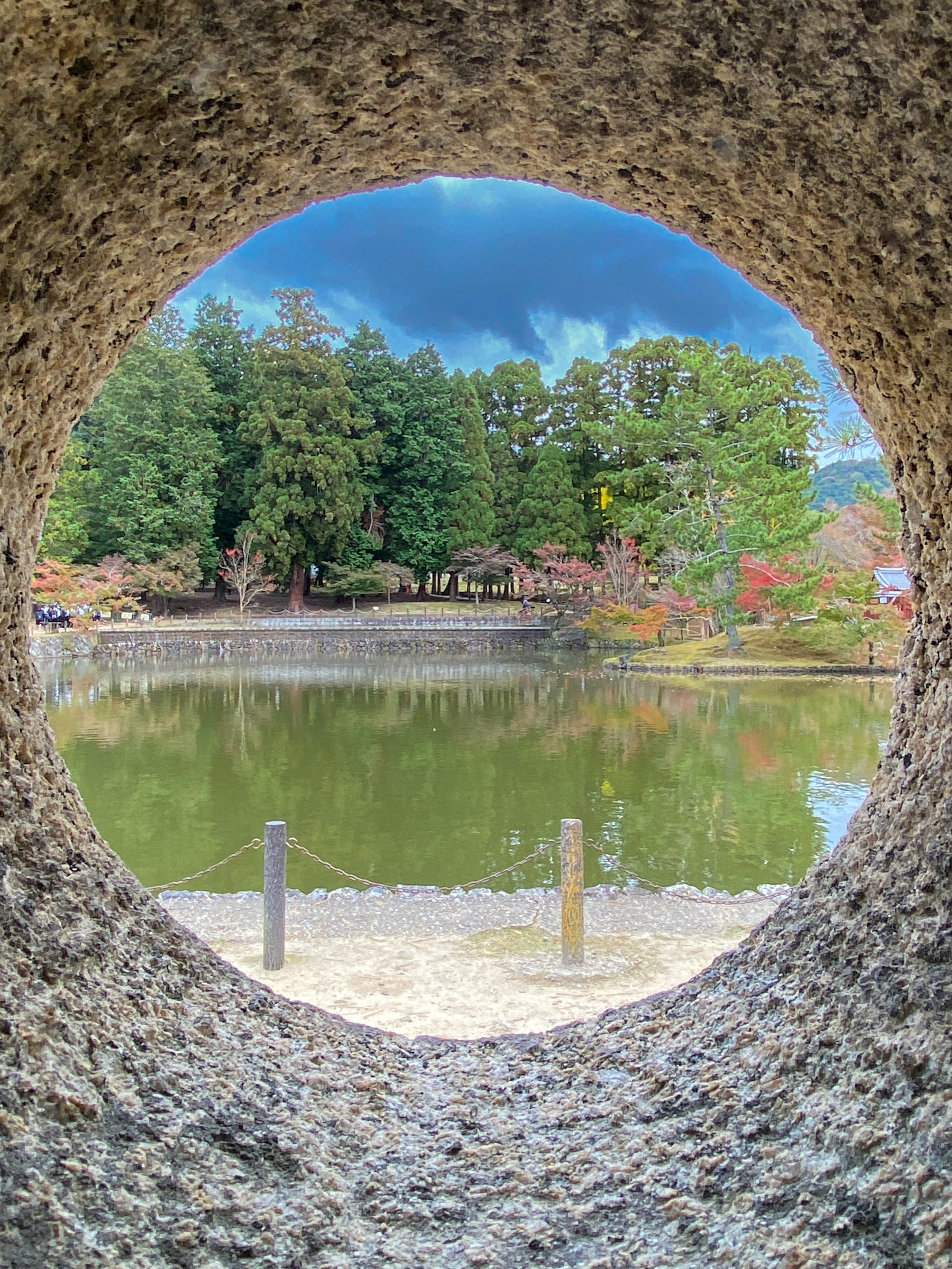 Scène de promenade dans le parc de Nara